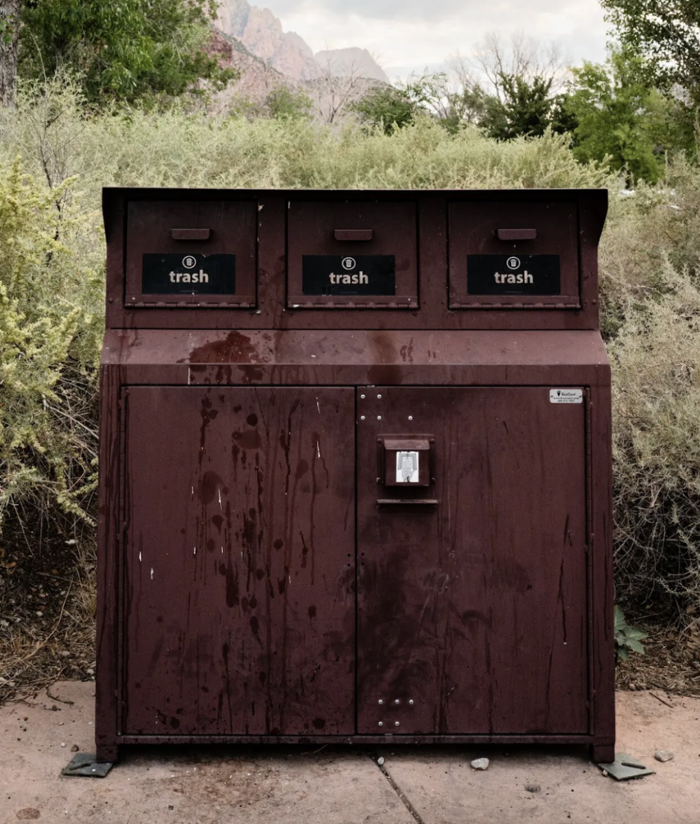 Cleanliness has become a problem around parks. Photo courtesy of New York Times. 